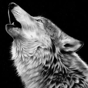 Meet your Posher, Trey